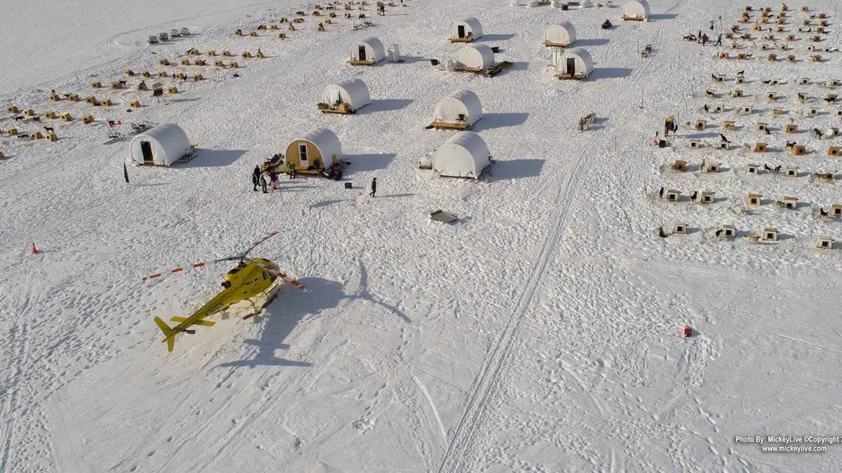 Musher and visitors with a husky team on the snow during a Juneau dogsledding on Herbert Glacier helicopter tour