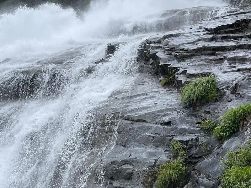 Nugget Falls pouring beside the blue ice face on a Mendenhall Glacier waterfall and whale watching tour from Juneau